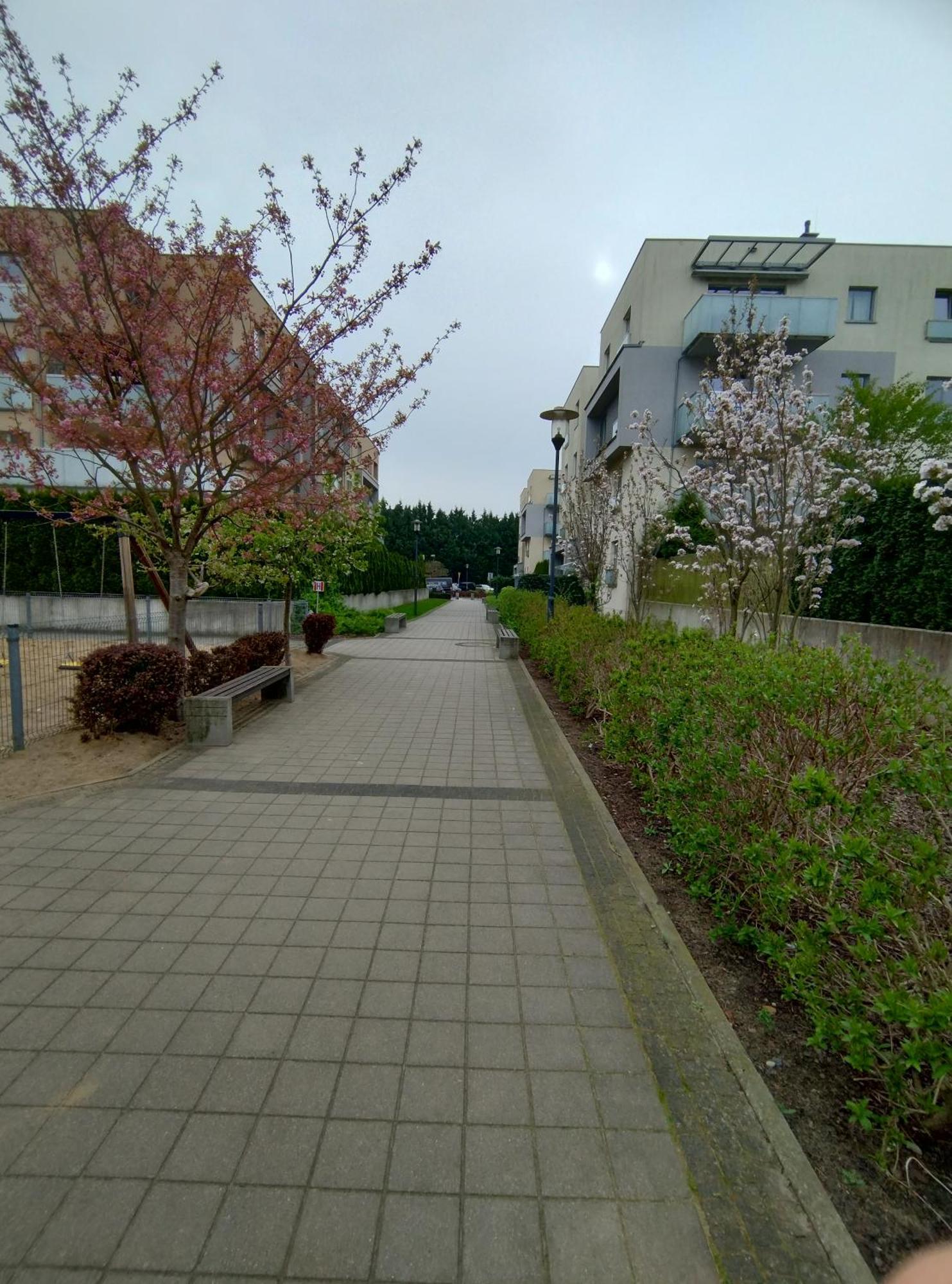 Apartament 1E Barbakan Szczecin Exterior foto